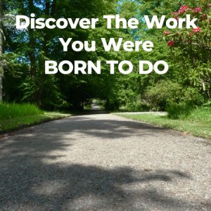 Discover The Work You Were Born To Do